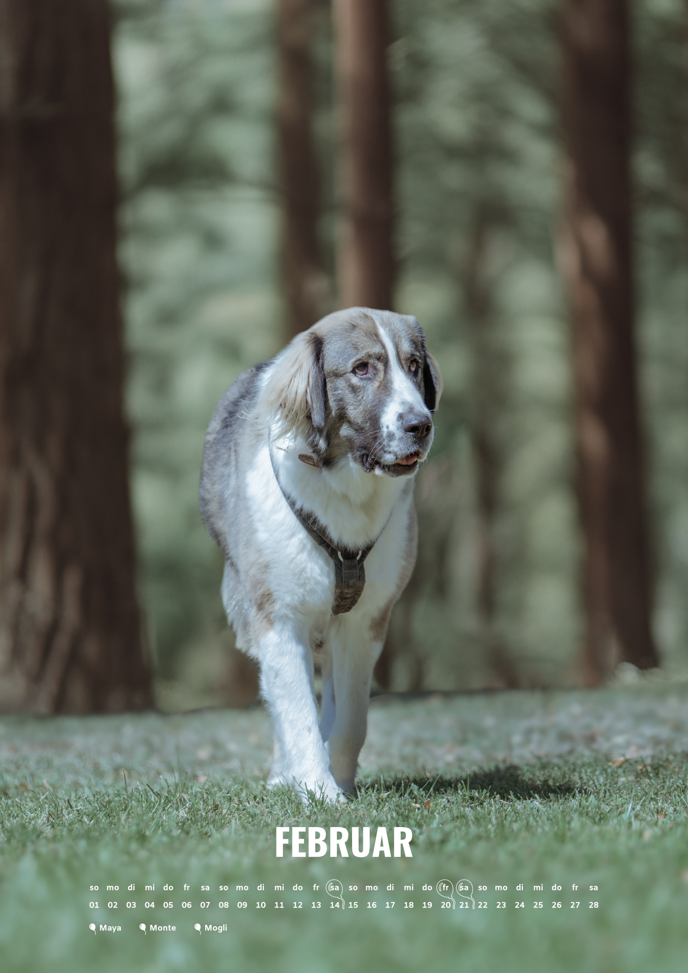 Ralphy's Wandkalender 2026