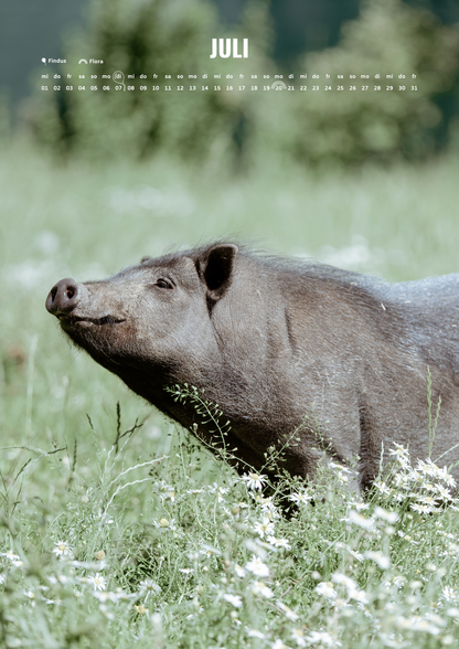 Ralphy's Wandkalender 2026