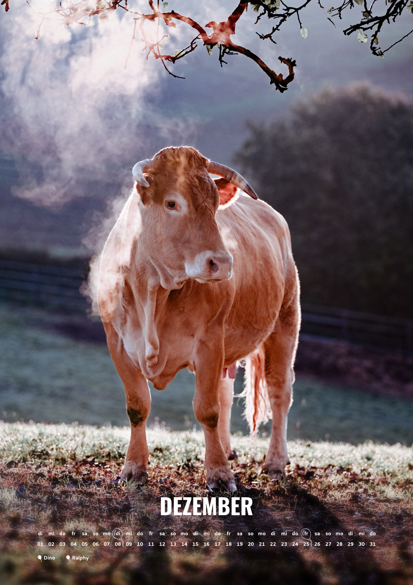 Ralphy's Wandkalender 2026